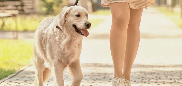 Beneficios del mindfulness diario